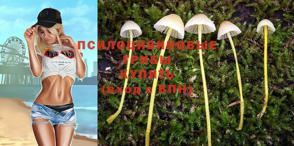 мдма Няндома