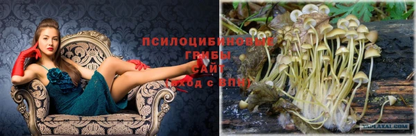 меф VHQ Нягань