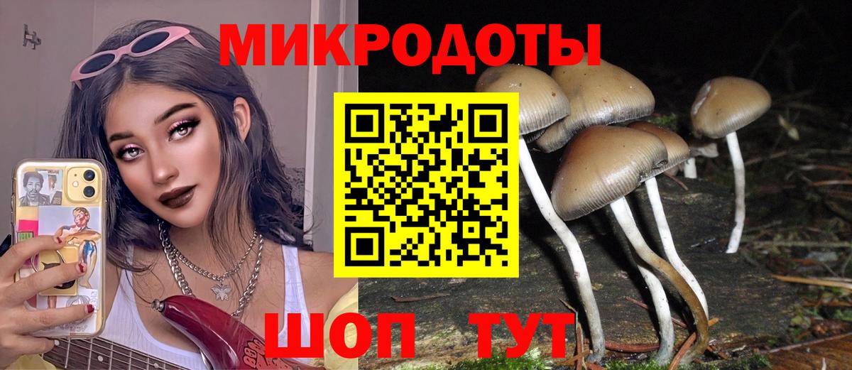Псилоцибиновые грибы GOLDEN TEACHER Корсаков