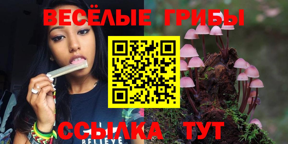 Галлюциногенные грибы ЛСД  Вход с VPN  Галлюциногенные грибы MAGIC MUSHROOMS  Корсаков 